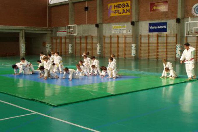 Fiesta de fin de curso de las secciones de judo y gimnasia celebrada el pasado 1 de junio en el polideportivo.