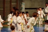 Exhibición de judo en el polideportivo.