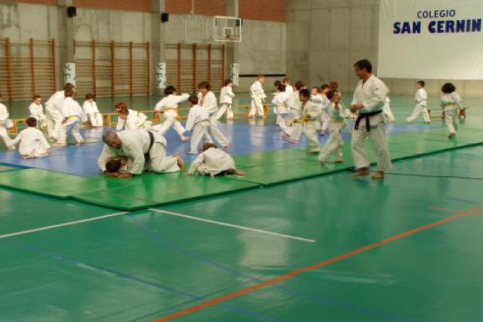 Exhibición de judo en el club